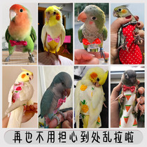 Parrot diaper diapers creative pet bird clothes parrot shit pants flying clothes bird diapers