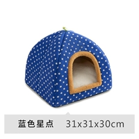 Голубая звезда Dot Mongolian Wo