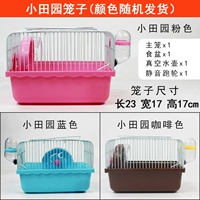 Цвет маленькой пастырской клетки случайный