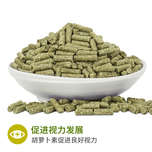 FALSA NARUTO TOTORO TOTORO TOTORO TOTORO FEDS TOTORO TOTORO Stainet State Totoro Stalm Stylus toton