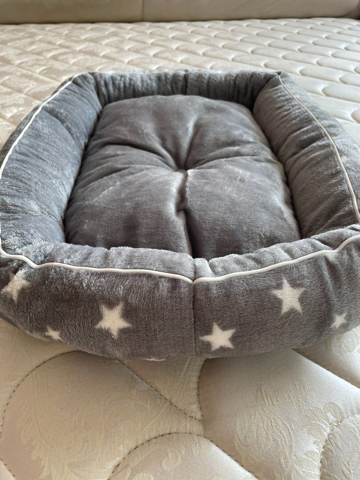 Slight flaws exported to Japan N family flannel dog cat cat cute nest M size cute durable support machine washable