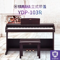 Đàn piano điện Yamaha / Yamaha YDP-103R88 dành cho người mới bắt đầu chơi đàn piano búa nặng - dương cầm yamaha b1