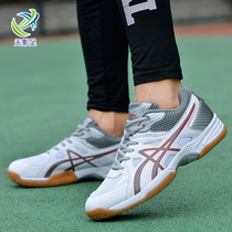 Professional volleyball shoes Mens and womens net air volleyball competition training shoes non-slip cattle tendon bottom badminton handball shoes size 47