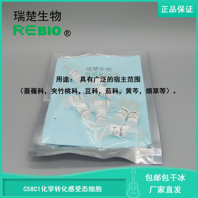 顺丰包邮包干冰C58C1化学转化感受态细胞发根农杆菌10支20支30支