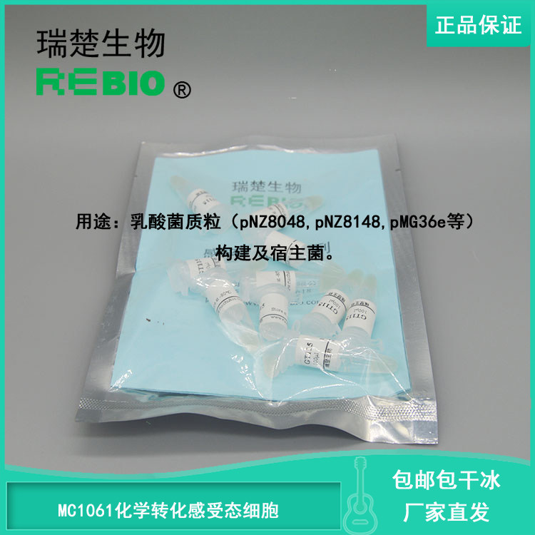 包邮包干冰 MC1061化学转化感受态细胞大肠杆菌感受态细胞R09027
