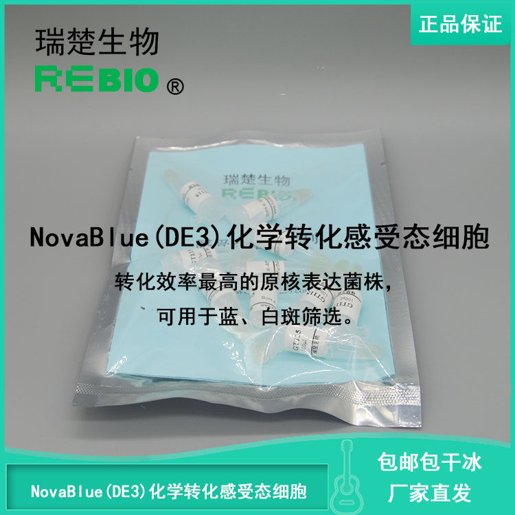 顺丰包邮包干冰NovaBlue(DE3)化学转化感受态细胞大肠杆菌10支