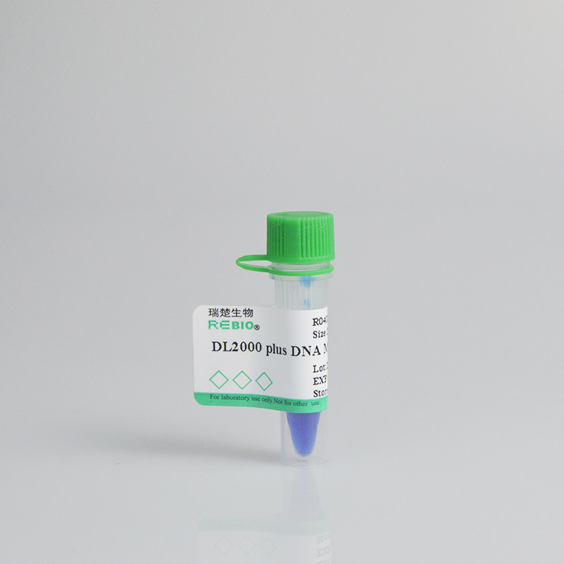 DL2000 Plus 50T 250ul DNA Marker 分子量标准 R04020 核酸电泳
