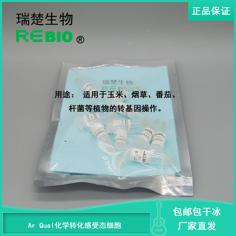 顺丰包邮 包干冰 Ar Qual化学转化感受态细胞 发根农杆菌10支