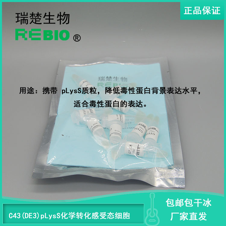 顺丰包邮包干冰C43(DE3)pLysS化学转化感受态细胞大肠杆菌10支