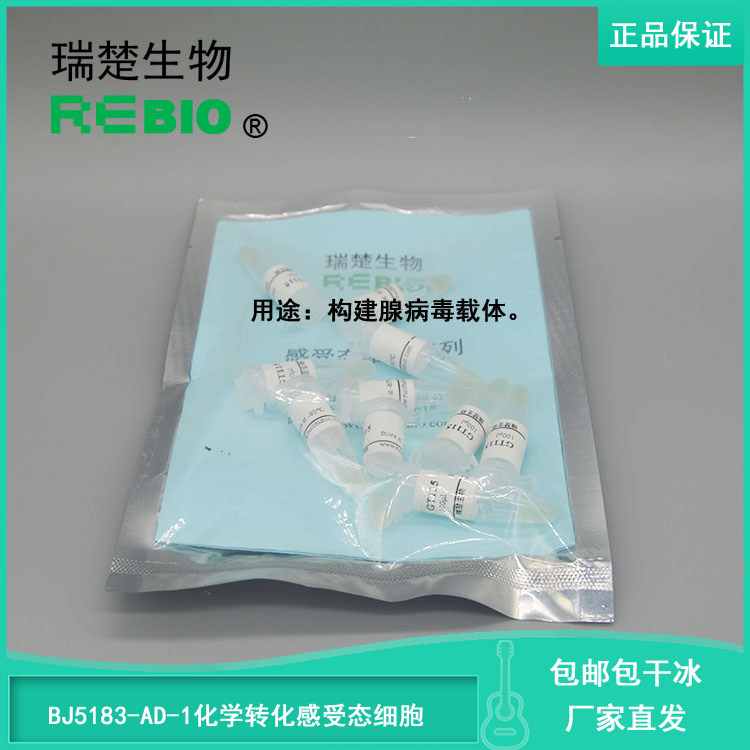 包邮包干冰 BJ5183-AD-1化学转化感受态细胞 R09020 100ul