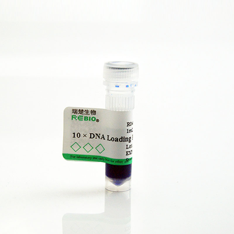 10&times;DNA Loading buffer 10&times;1ml REBIO R04006  核酸电泳