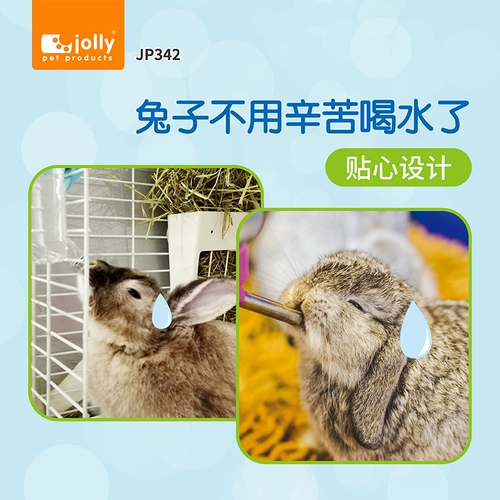 JP342 Зули лизал le написать водонагреватель кролик водяной чаша Голландская свинья Лизать воду для водного чайника кошачья вода чаша 330 мл