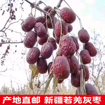 Xinjiang specialty red jujube Ruoqiang gray jujube original ecology uncleaned hanging dried jujube