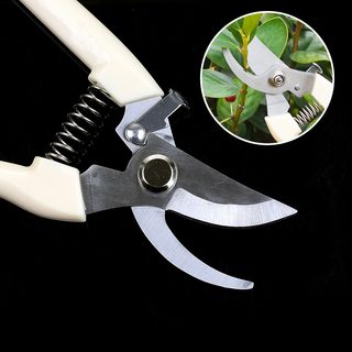 Stainless steel branch pruning scissors picking fruit flower tree shears garden fruit tree flower branches grafting gardening scissors tool