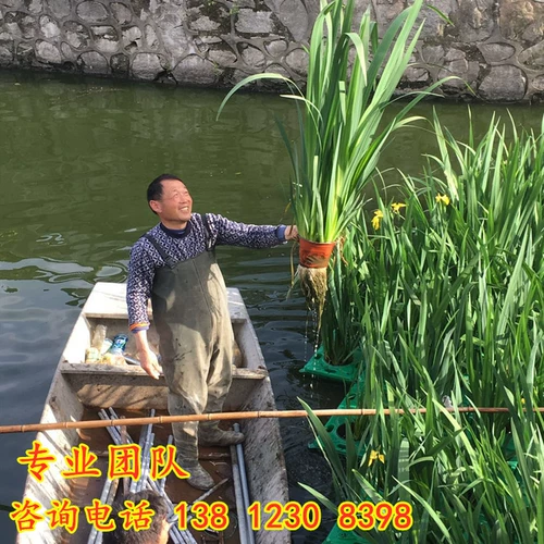 Экологическая плавающая островная вода сажает искусственное экологическое плавающее плавающее плавающее плавающее плавающее остров