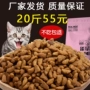 Mèo nhặt thức ăn cho mèo con mèo con mèo 20 kg Mỹ và tiếng Anh cá hồi ngắn toàn thời gian đi lạc mèo thực phẩm chủ yếu 10kg - Cat Staples hạt zenith cho mèo