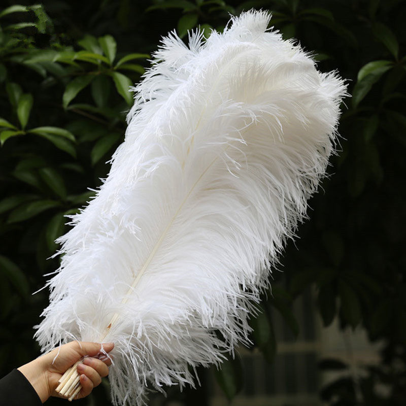 Pure natural ostrich feather wedding decoration handmade diy big feather office decoration home net red set props