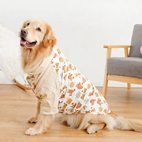 Новый бурый медведь