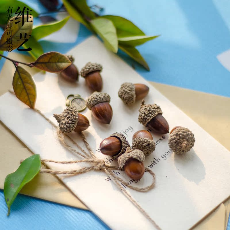 Photography Props Photo Props Forest Department Small Freshener Accessories Mobile Phone Protection Shell Photoshoot Photo Props Oak 5