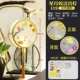 G128 Star Moon Bright Palace Lantern