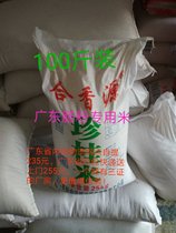 Guangdong Intestine Powder Stone Grinding Intestine Powder Special Rice Chen Mi Zhen Gui Mi Guangdong Intestine Powder Rice Yang Spring Rice Rare Rice