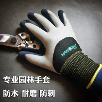 Garden gardening planting flowers agricultural work protective gloves planting pepper pineapple sugar cane garden gloves