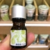 Giameile Green Flower White Melaleuca Essential Oil 5ml Tinh dầu đơn có nguồn gốc nhỏ Cân bằng nước-dầu - Tinh dầu điều trị