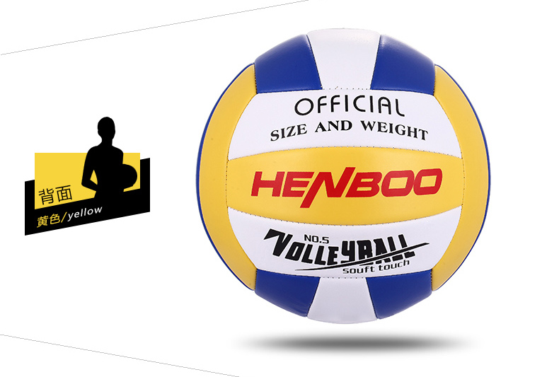 Ballon de volley - Ref 2009589 Image 19