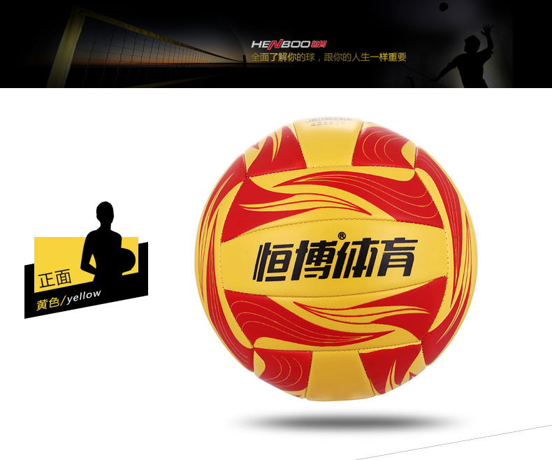 Ballon de volley-ball - Ref 2009661 Image 18