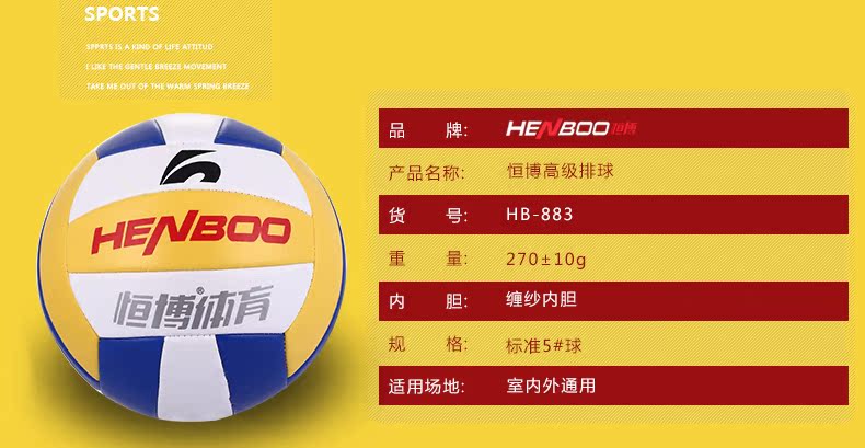 Ballon de volley - Ref 2009589 Image 12