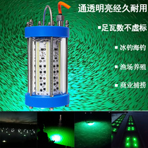 Boat Vie 1000w underwater bait light set fish lamp water lamp sea fishing with fish squid lamp led underwater lamp underwater lamp