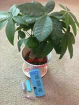 PB305 switch model halogen double tube all-in-one remote sensor external shock hemp linen sky blue