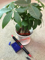 J306308408409 new halogen black long tube external shock long-distance split-machine electronic sensor