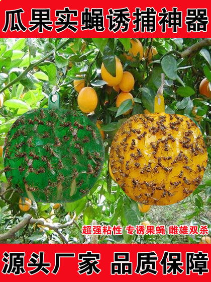 Fly Trap Ball for Citrus Fruit Flies, Sticky Trap Ball for Melon Fruit Flies, Wasp Fruit Fly Trap Ball, Wasp Attractant