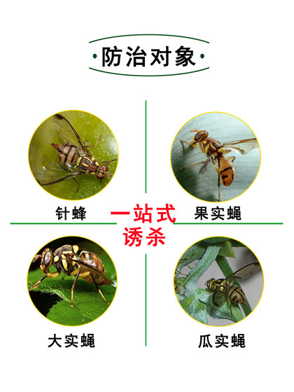Fly Trap Ball for Citrus Fruit Flies, Sticky Trap Ball for Melon Fruit Flies, Wasp Fruit Fly Trap Ball, Wasp Attractant
