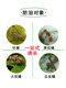 Fly Trap Ball for Citrus Fruit Flies, Sticky Trap Ball for Melon Fruit Flies, Wasp Fruit Fly Trap Ball, Wasp Attractant