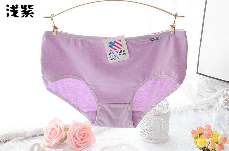 Slip A001 en coton - Ref 650431 Image 17