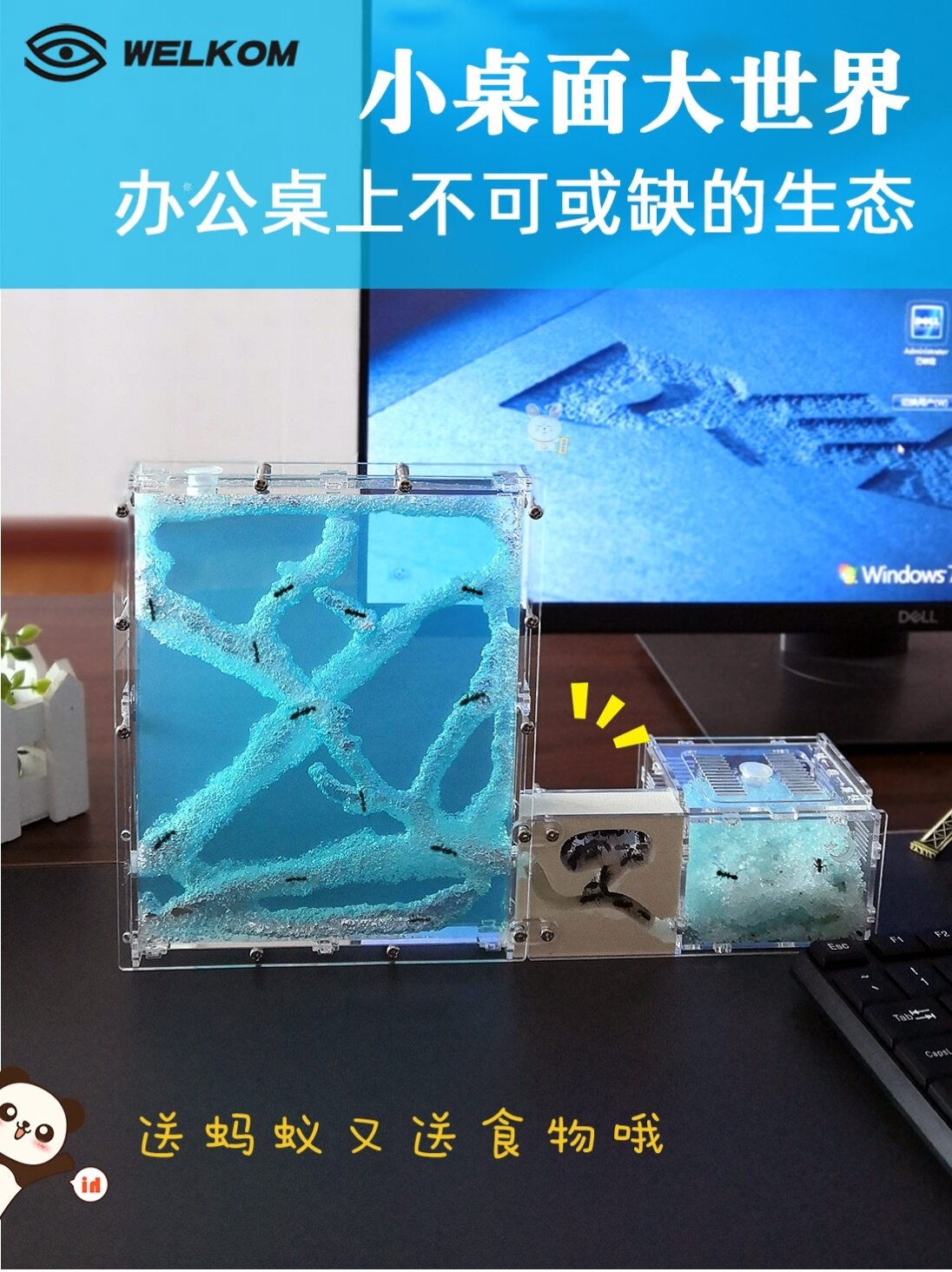 Ant Arts Ant Castle Large Ecological Box Ant Castle with Large Ecological Box Ant Castle