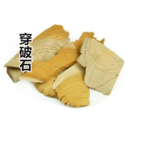 Chinese Medicinal Herbs: Xuanpo Shi, Genuine Chuanpo Shi Root, Dianmian Root, La Niu Ru Shi, 50 Grams Chinese Medicinal Herbs: Xuanpo Shi, Genuine Chuanpo Shi Root, Dianmian Root, La Niu Ru Shi, 50 Grams