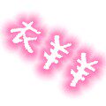 衣羊羊