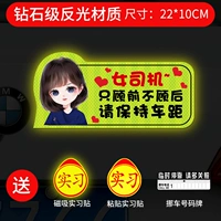 [Сильное магнитное сильное отражение] короткошерстное голубо
