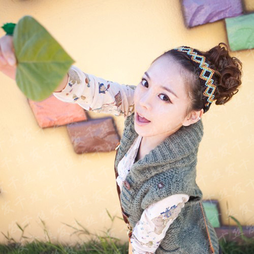 Extension cheveux - Chignon - Ref 237092 Image 6