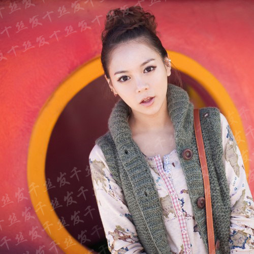 Extension cheveux - Chignon - Ref 237092 Image 9