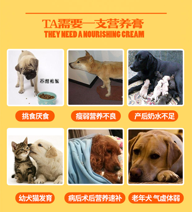 RedDog Red Dog Kem dinh dưỡng Dog Kem dinh dưỡng Puppy Cat Vitamin Pet Pet Teddy Golden Bổ sung tóc - Cat / Dog Health bổ sung cho mèo con uống sữa gì