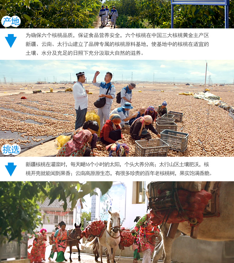 养元 易智优+ 六个核桃 240ml*20罐 图2