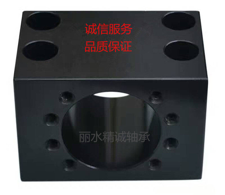 DSG1204 1605 2005 2505 3205 4005 5005 Ball screw Iron nut seat holder