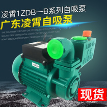 Lingxiao Guangdong self-priming pump 1ZDB354565 type 220V home booster pump clear water pump high part area
