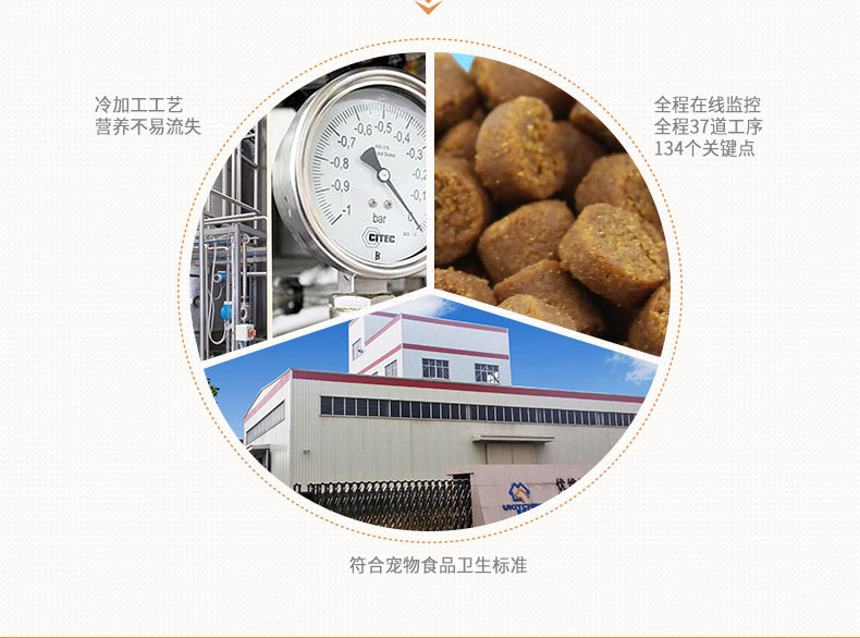 Viscon lòng đỏ trứng lecithin hạt 300g mèo cưng dinh dưỡng làm đẹp tóc bột tóc mềm phospholipid sữa precaten