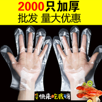 Thickened disposable gloves Catering individually packaged food eating lobster transparent plastic isolation inspection gloves