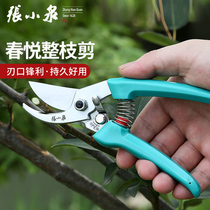 Zhang Xiaoquan garden floral scissors imported SK5 steel non-slip handle branch shears household fruit and vegetable bonsai pruning scissors